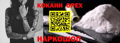 шишки Гатчина