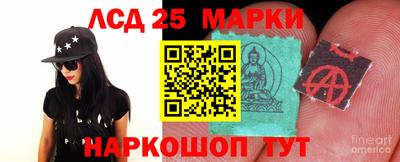 шишки Гатчина
