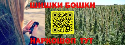 бошки Гагарин