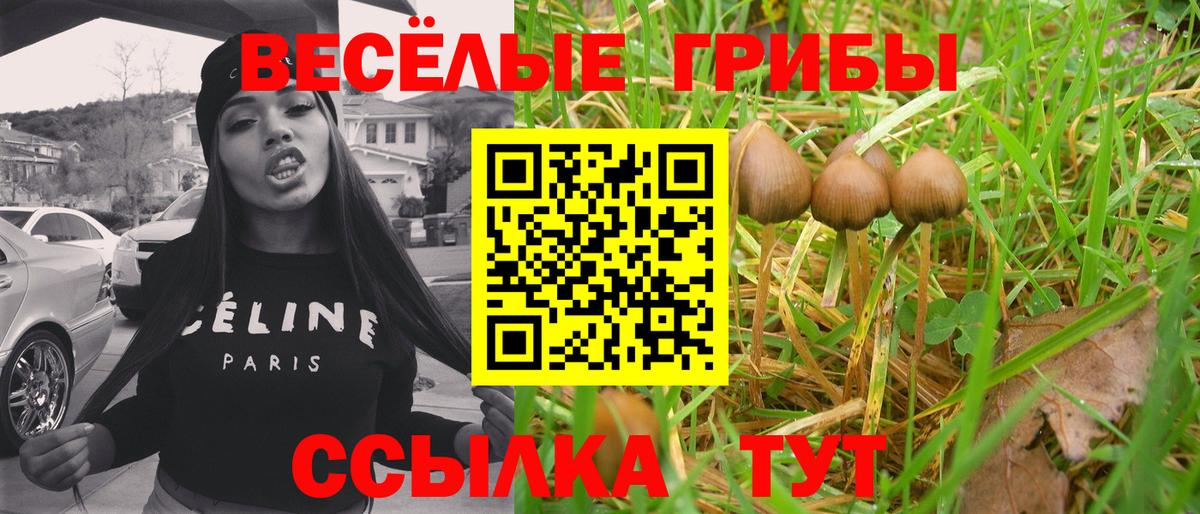 Галлюциногенные грибы Psilocybe  Вход с VPN  Джанкой 